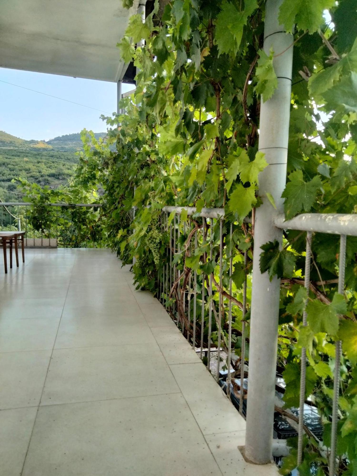 فندق Md House إيجيفان المظهر الخارجي الصورة